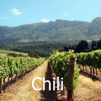 Chili